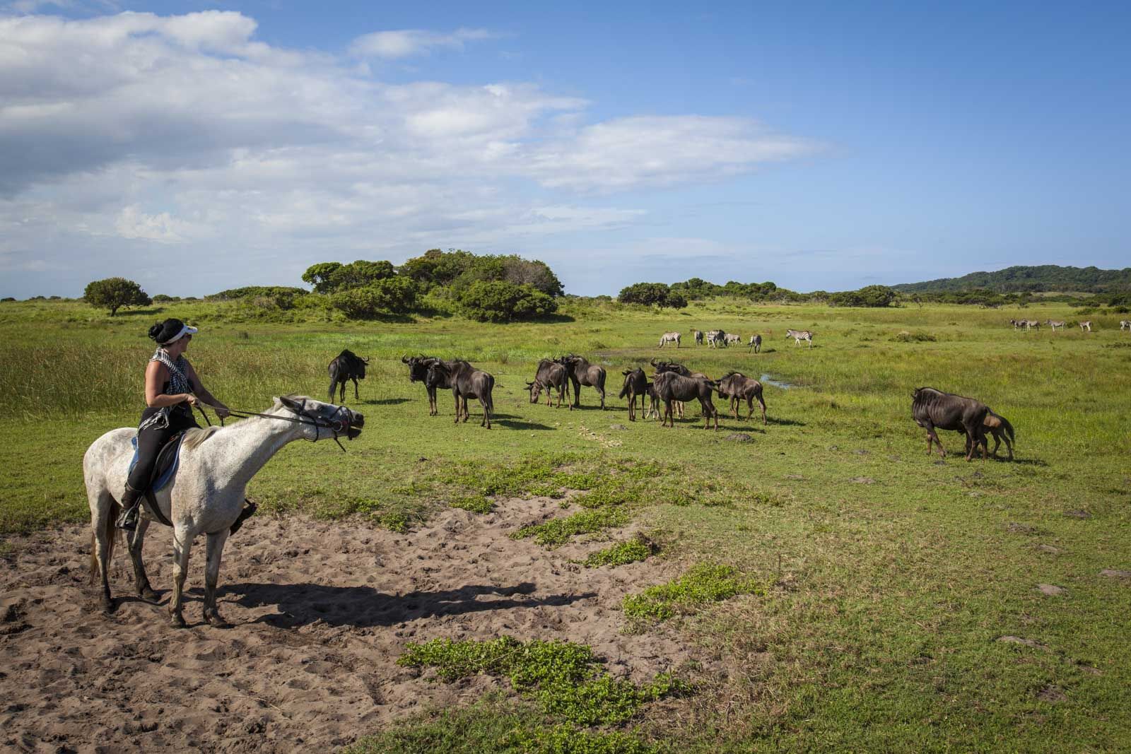 Las mejores cosas que hacer en Sudáfrica Horse Safari en Hluhluwe 