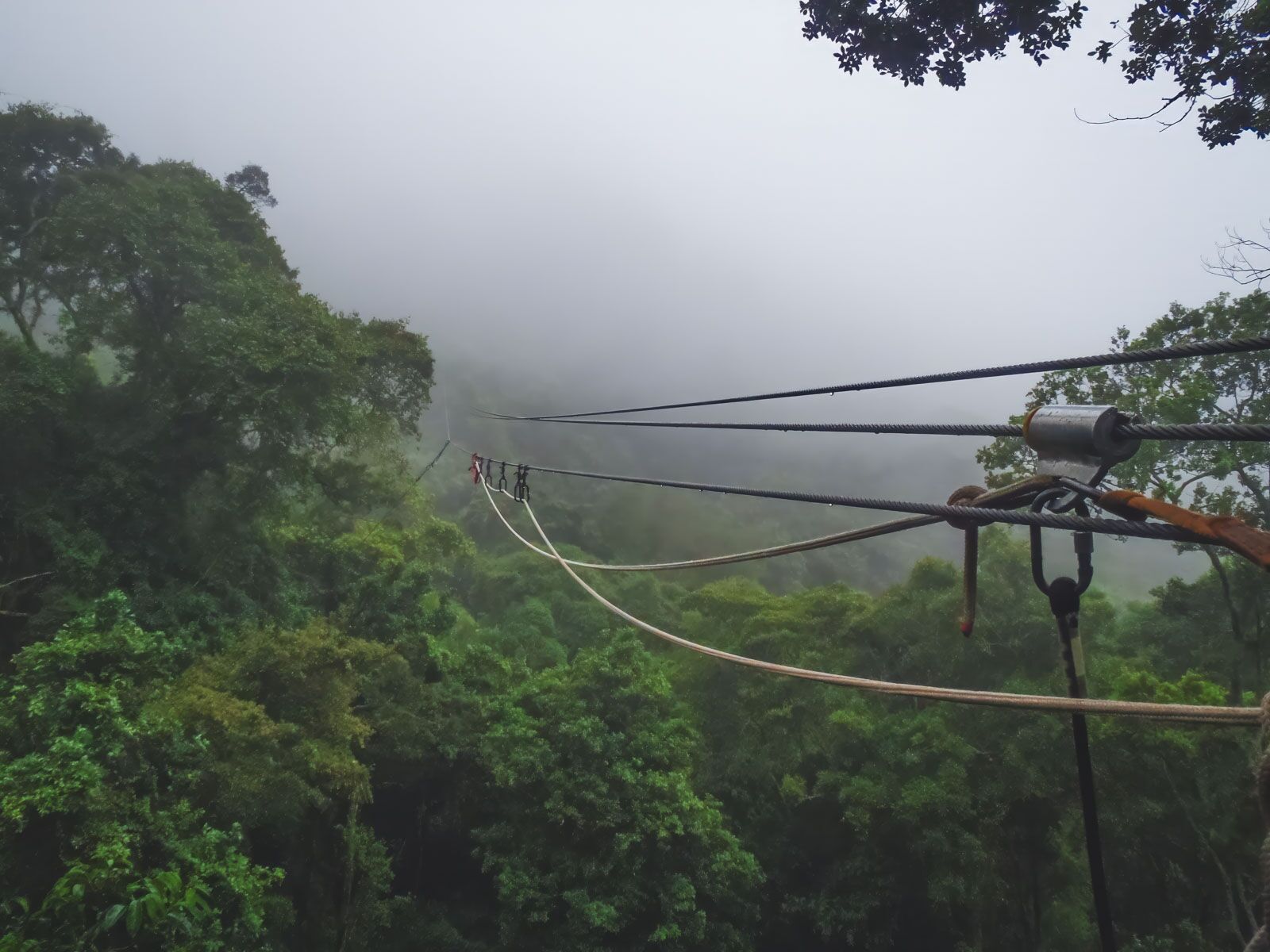 Las mejores cosas que hacer en Sudáfrica Canopy Tour Tsitsikamma