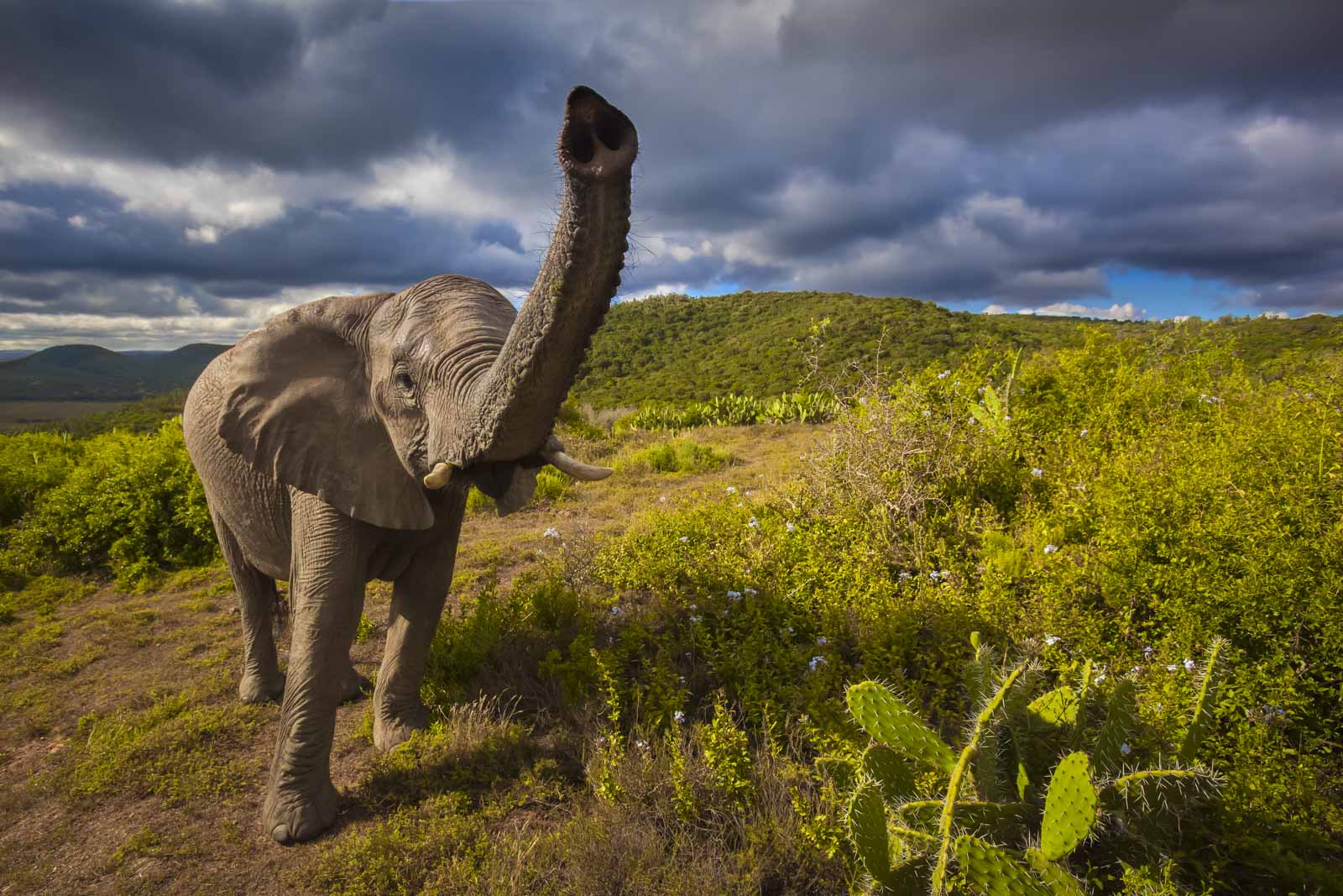 Mejor época para visitar Sudáfrica