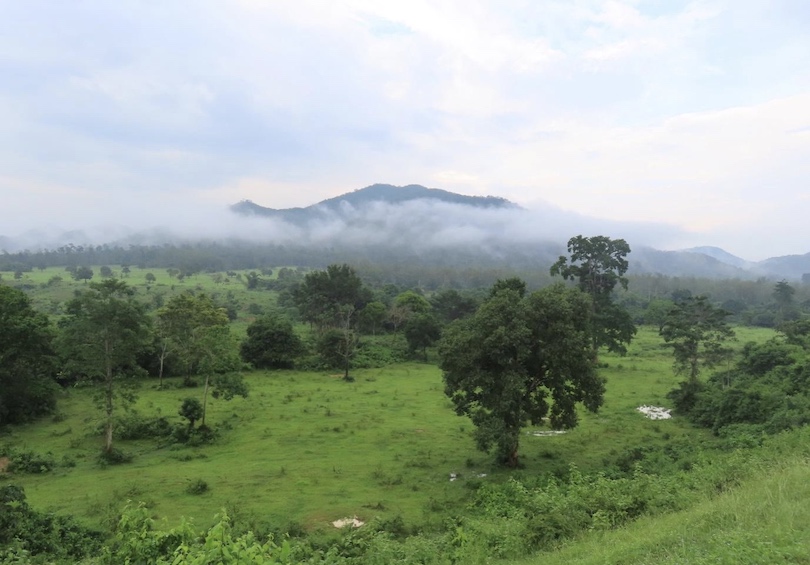 Misty Mountain