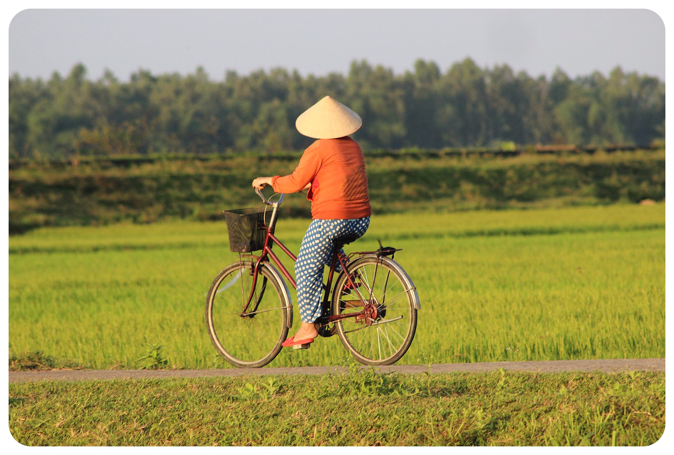 bicicleta de vietnam