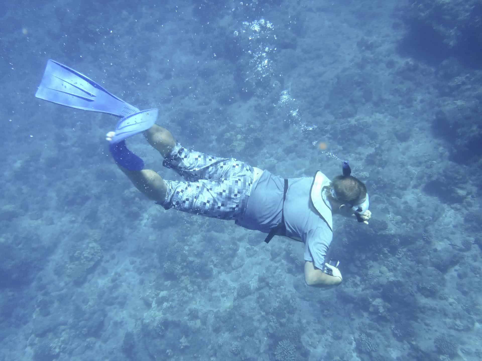 cosas por hacer en el lanai: snorkel