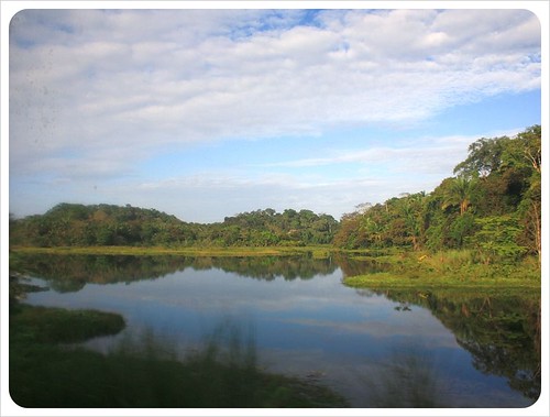 Vista del canal de Panamá desde el tren