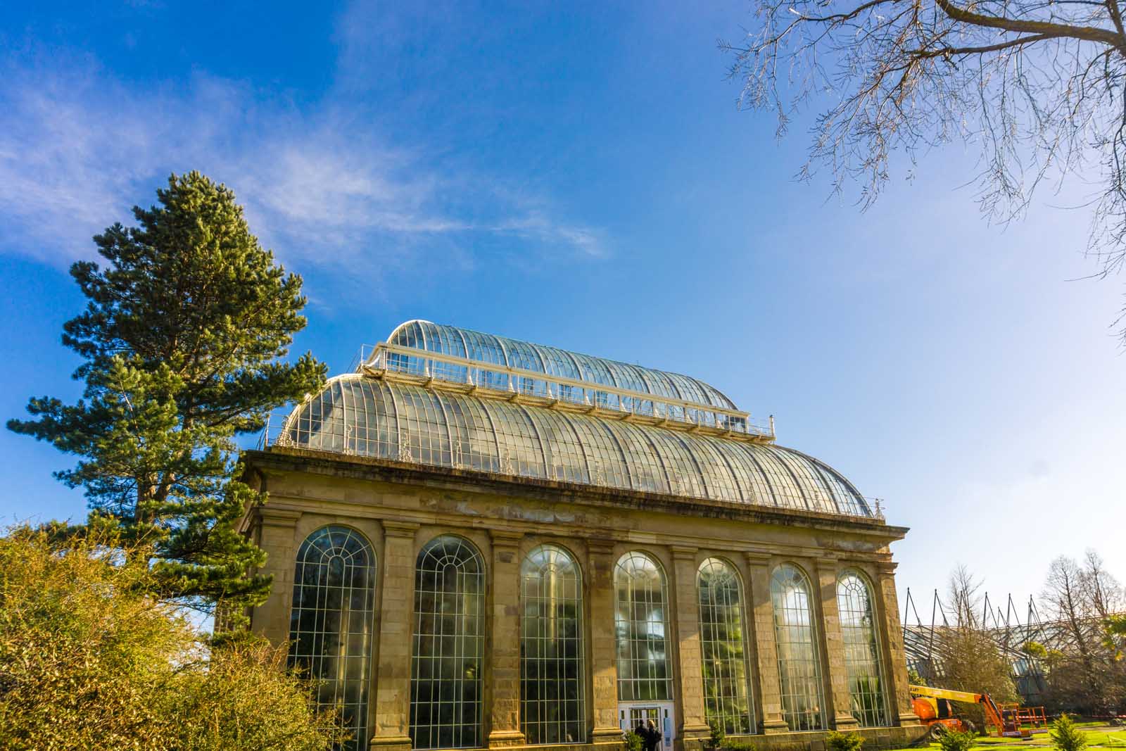 cosas divertidas para hacer en los jardines botánicos reales de Edimburgo Escocia