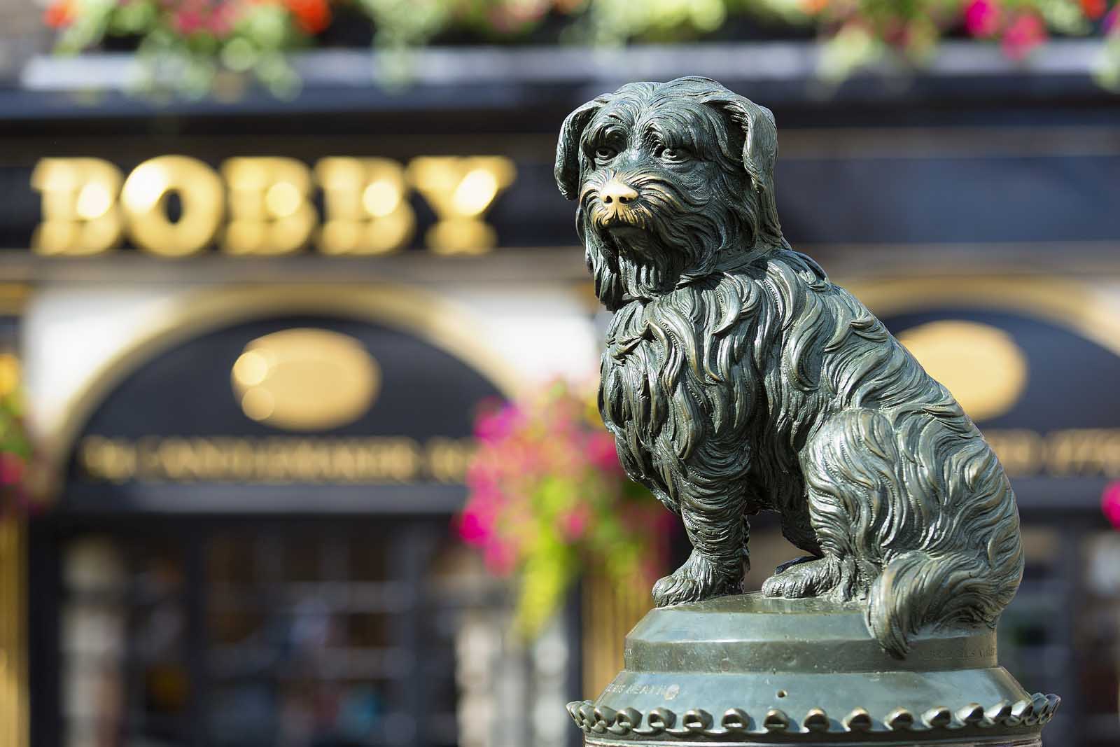 Las mejores cosas de Greyfriar's Bobby para hacer en Edimburgo