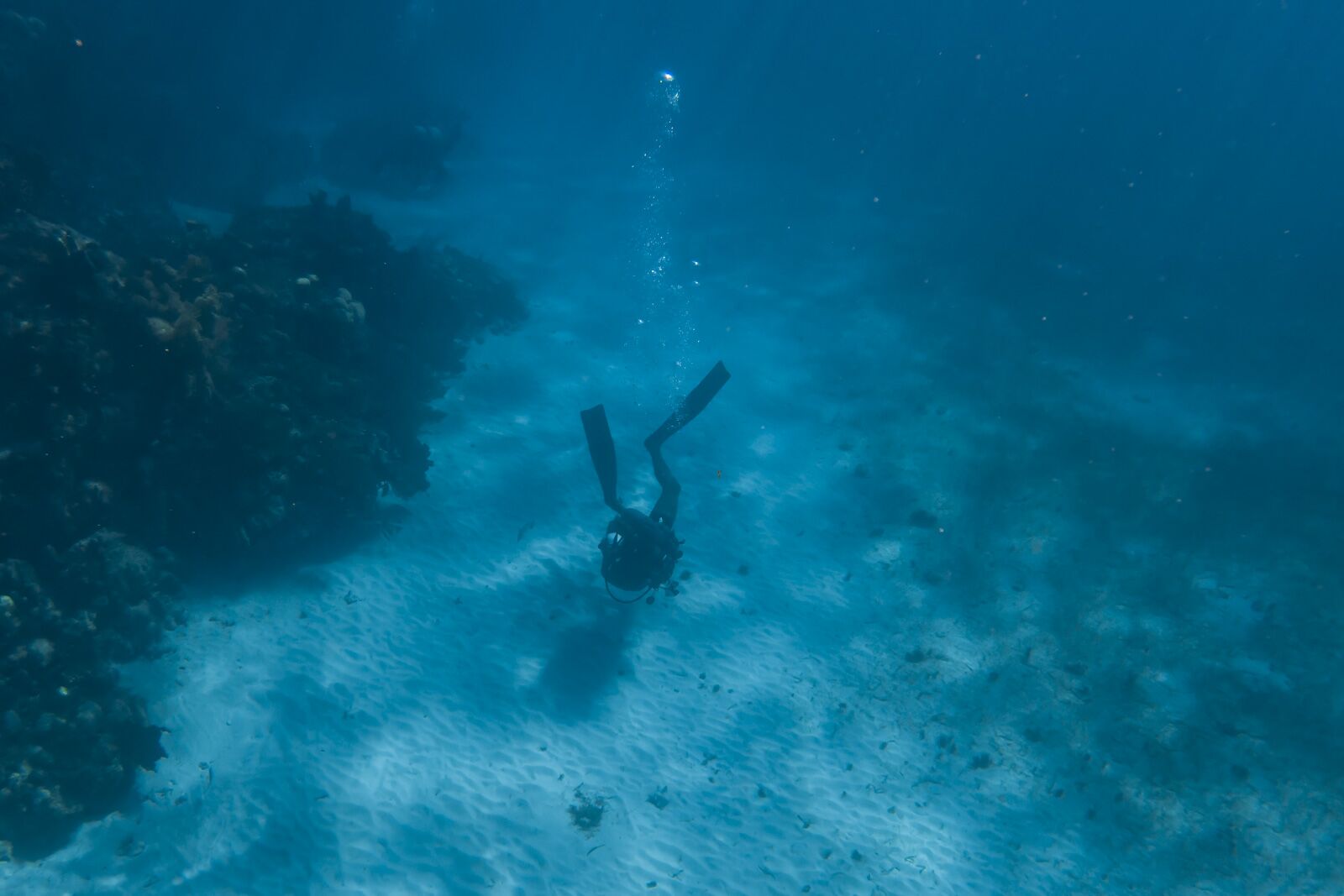 Las mejores cosas que hacer en Caye Caulker Scuba Diving