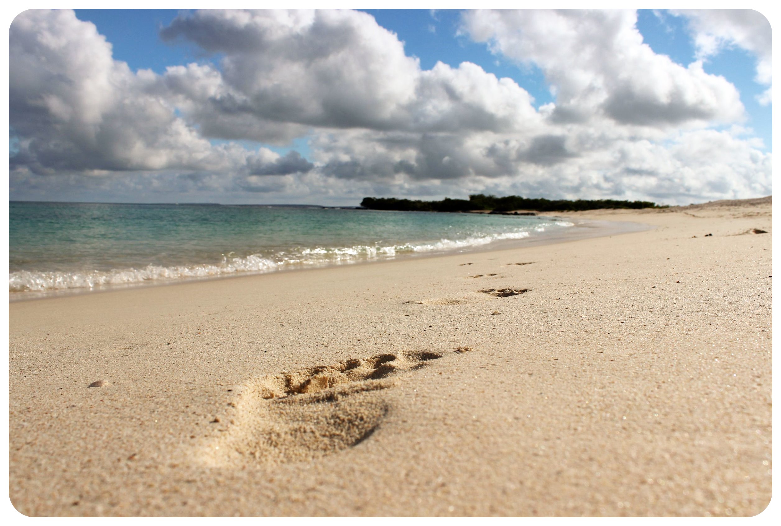 playa de Galápagos