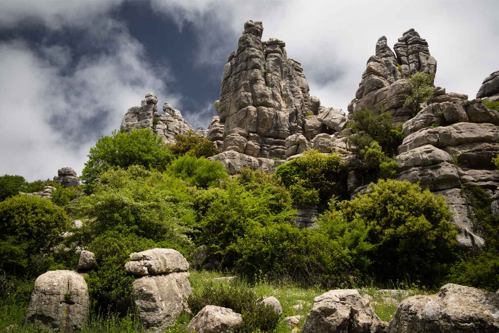 Las mejores cosas que hacer en el Parque Natural de los Montes de Málaga de Málaga