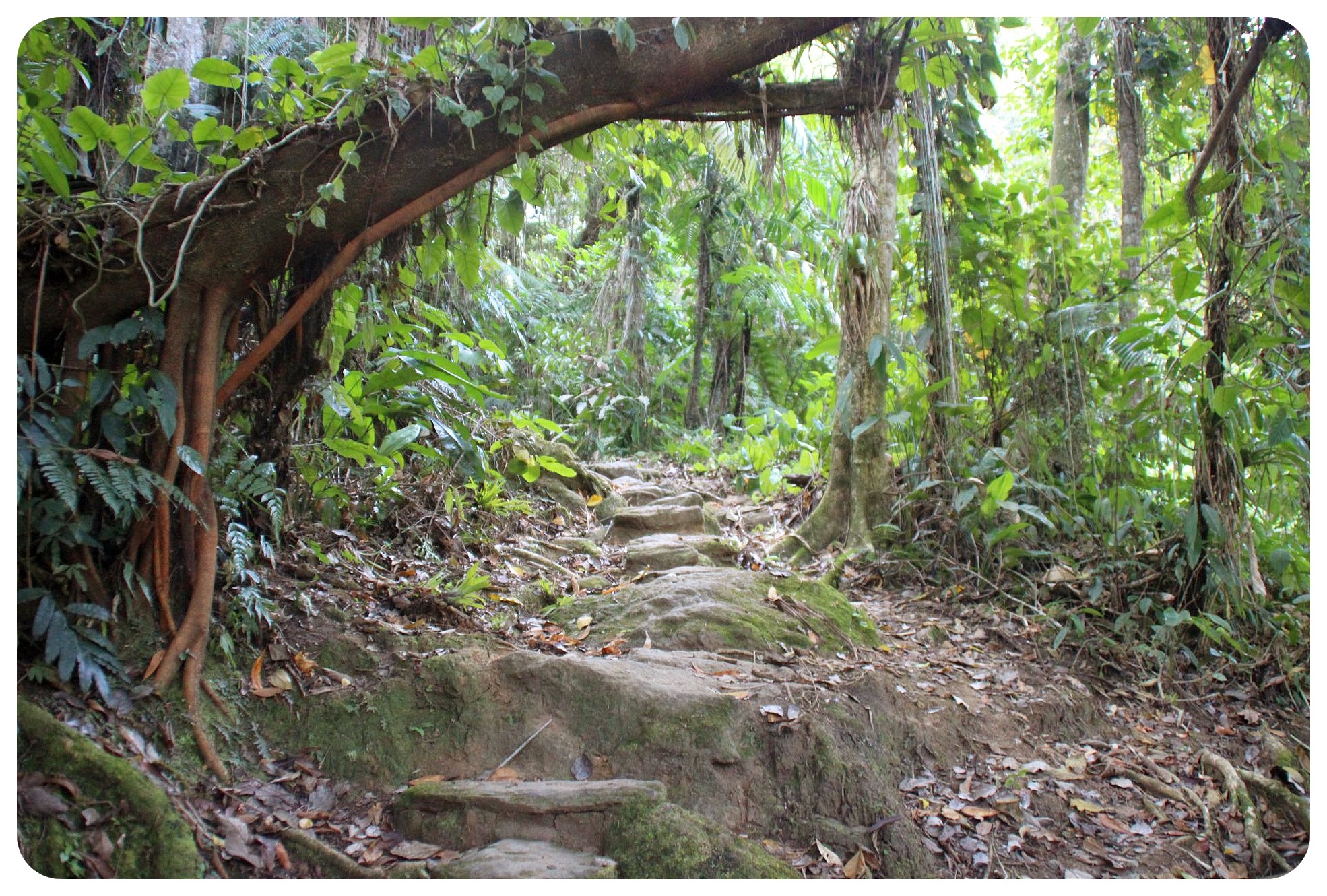 ciudad pérdida colombia2