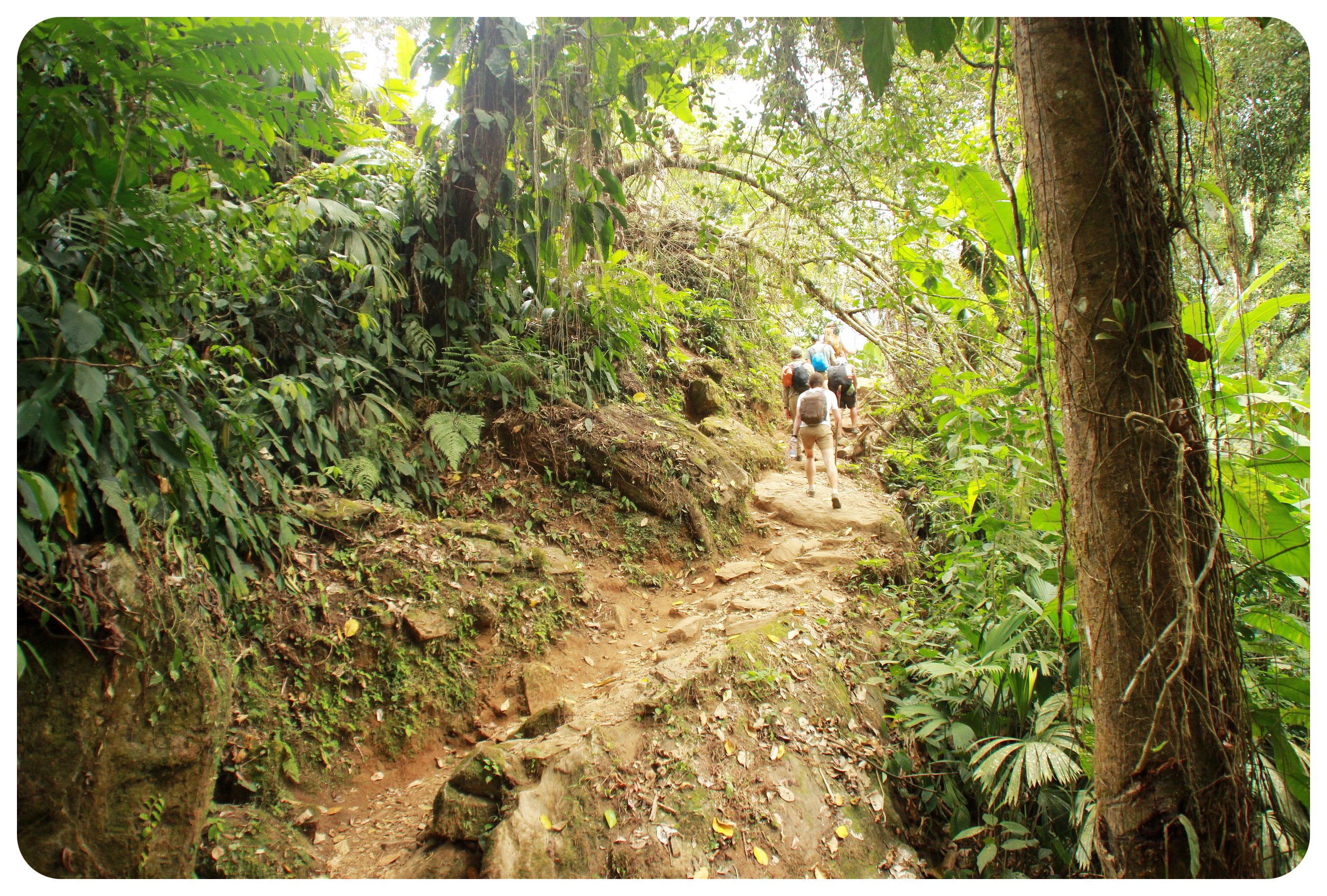 caminata en la ciudad perdida