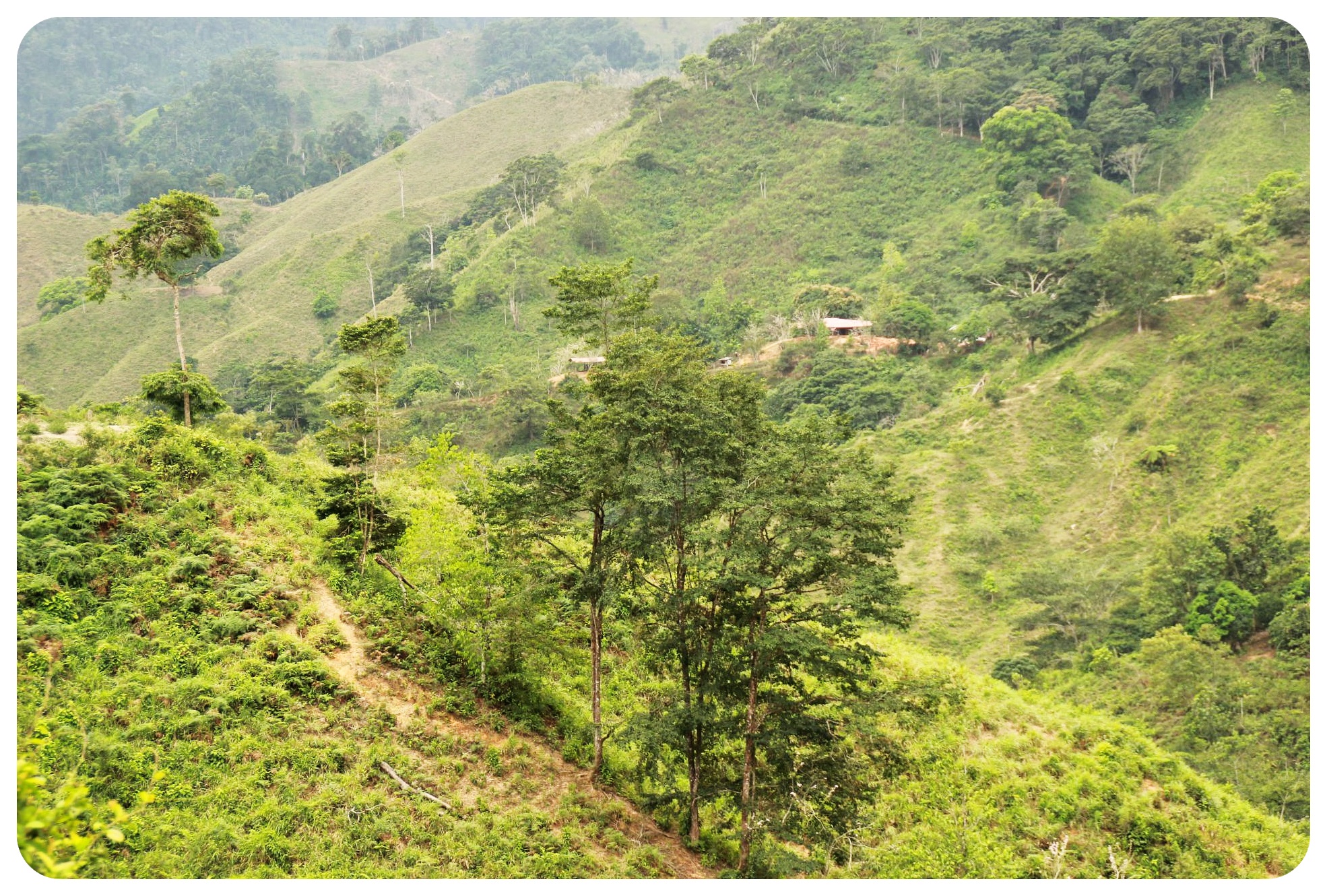 viaje por la ciudad perdida de Colombia