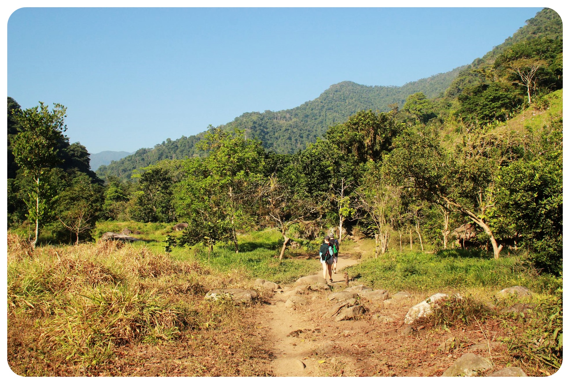 jungle trek ciudad perdida