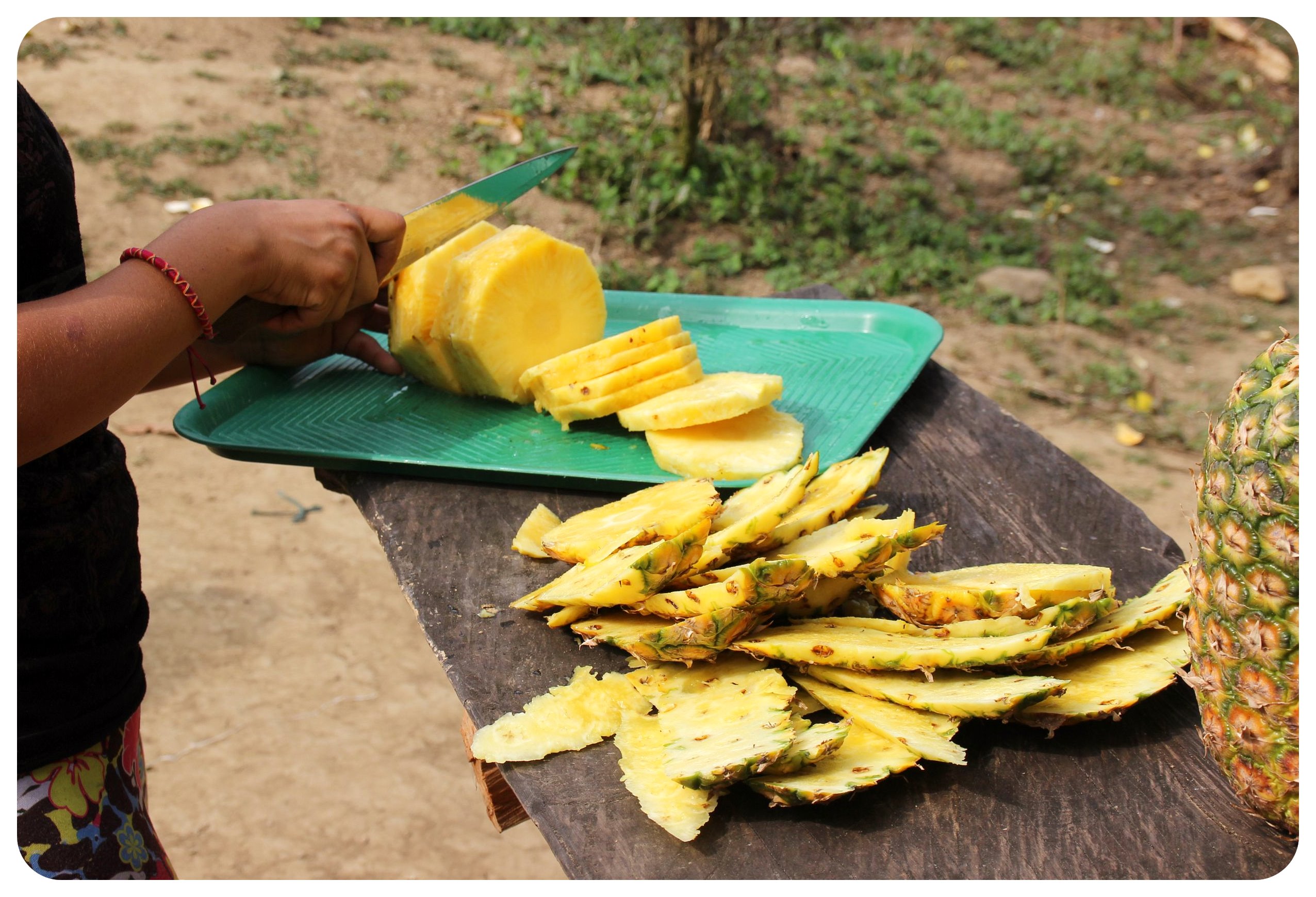 merienda de piña ciudad perdida