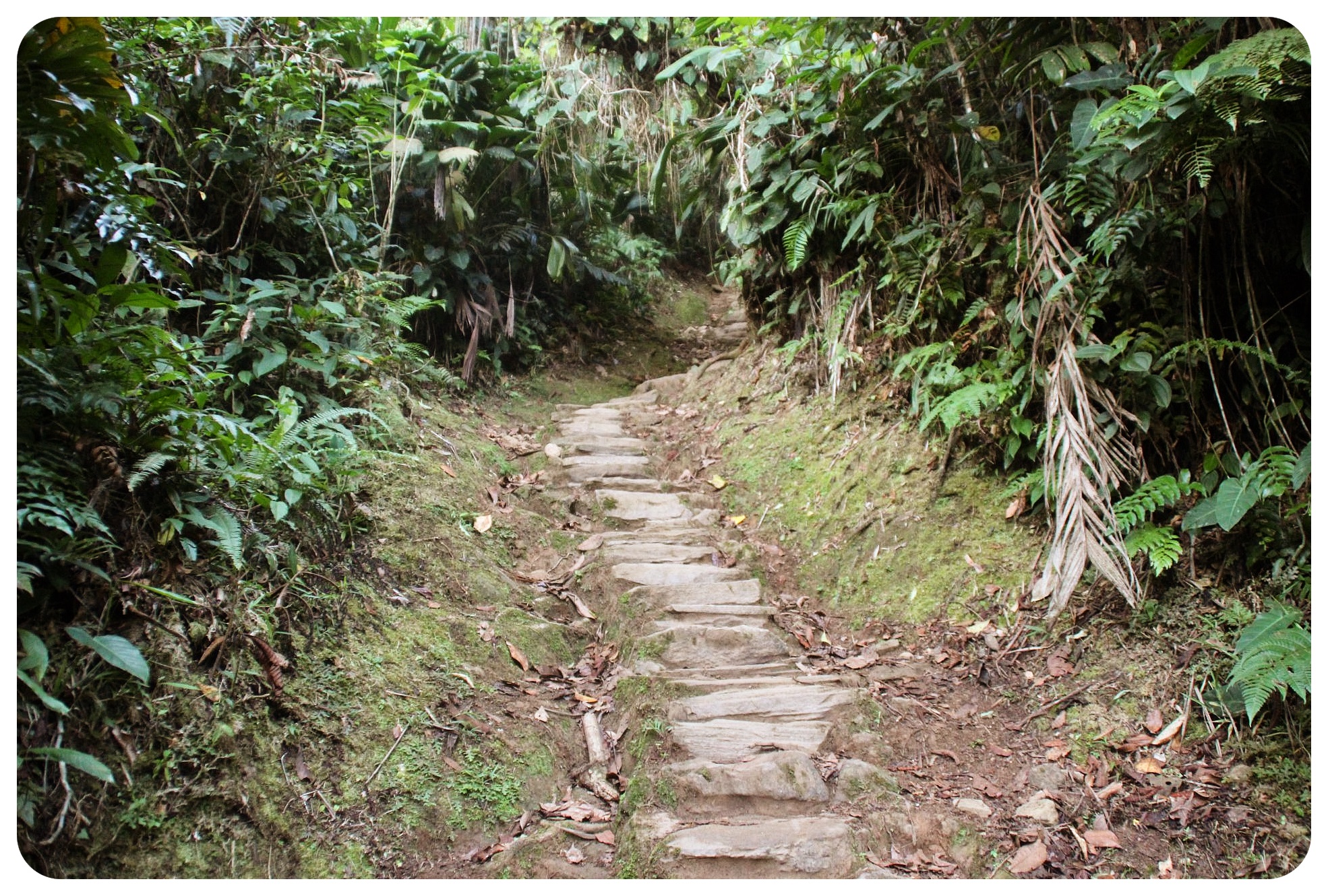 escaleras ciudad perdida