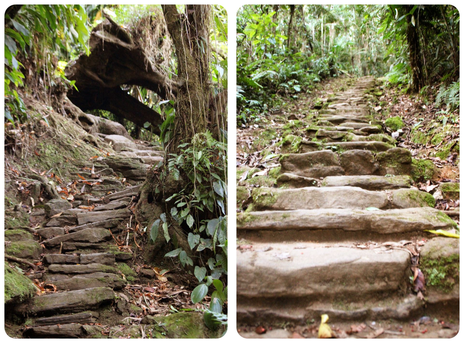 escaleras ciudad perdida