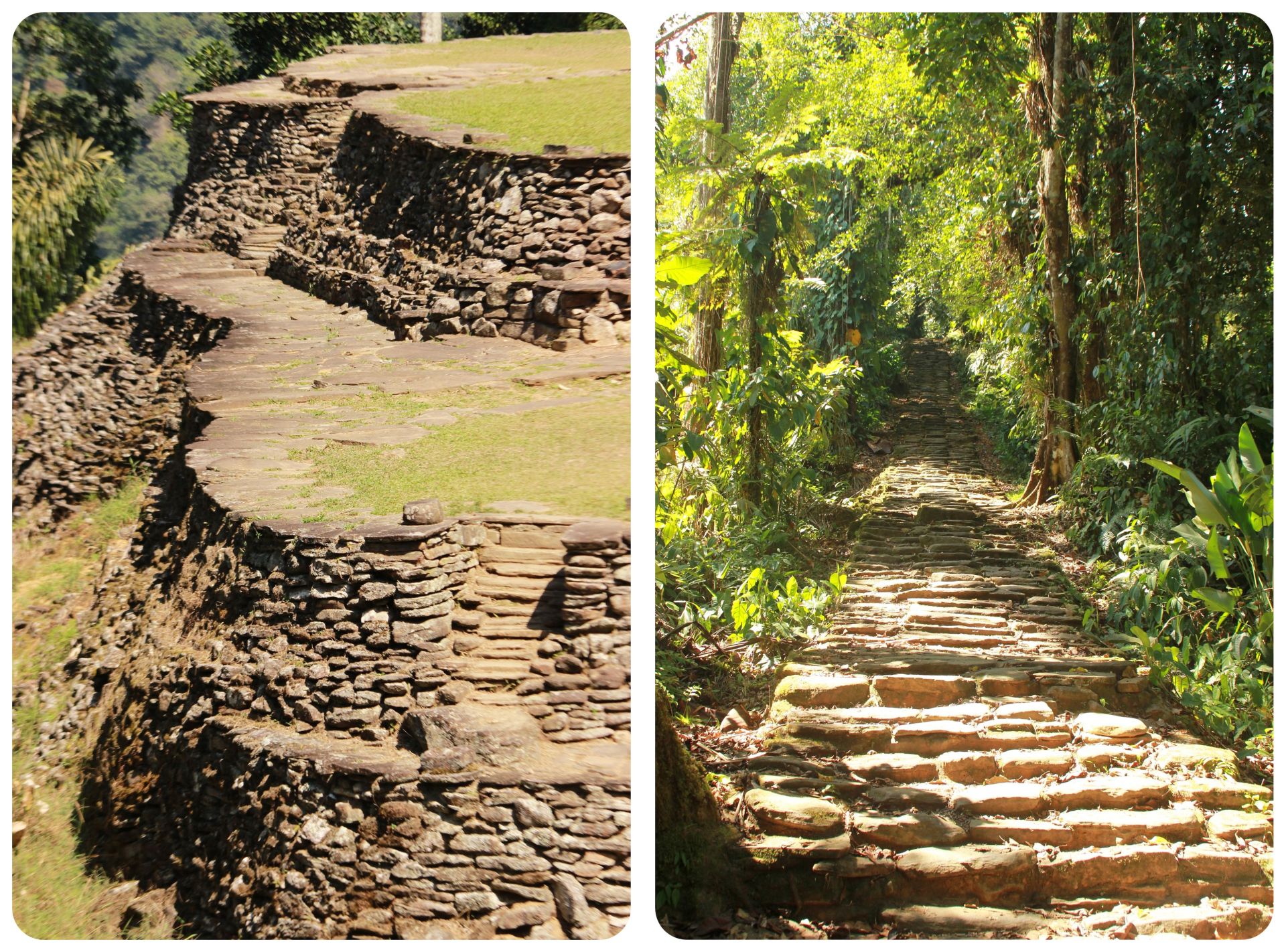 colombia ciudad perdida