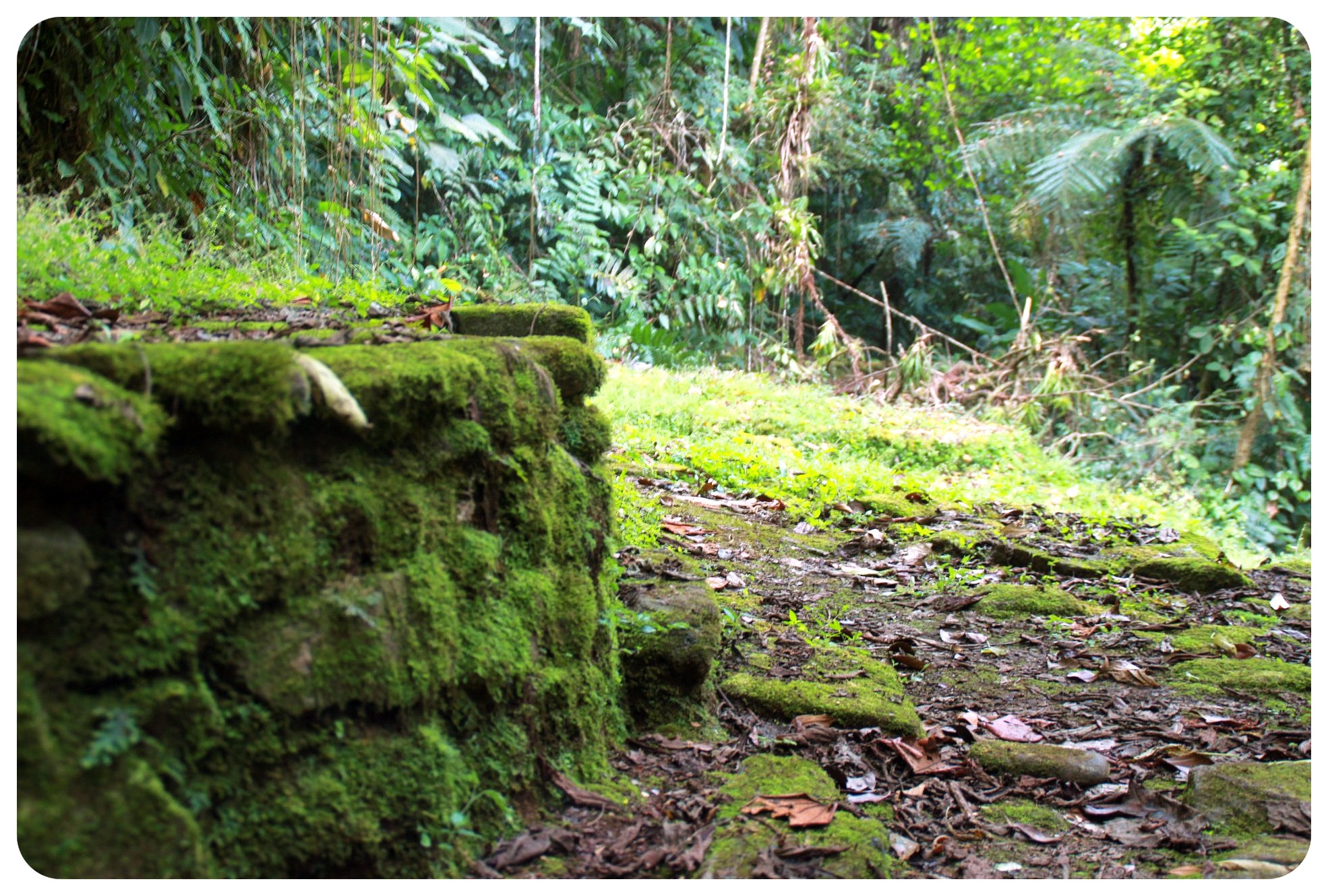 ciudad pérdida colombia7