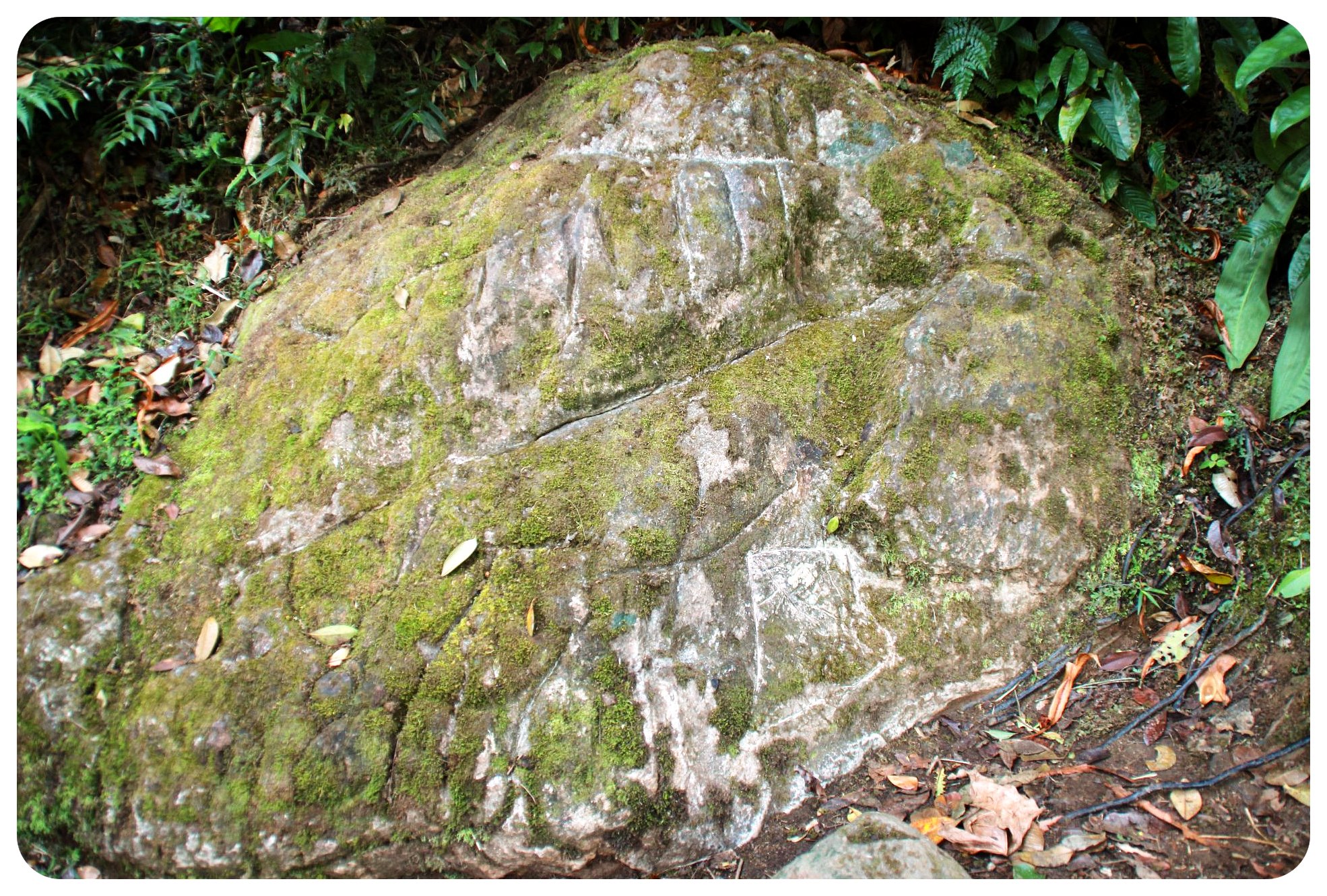 ciudad perdida roca cortada