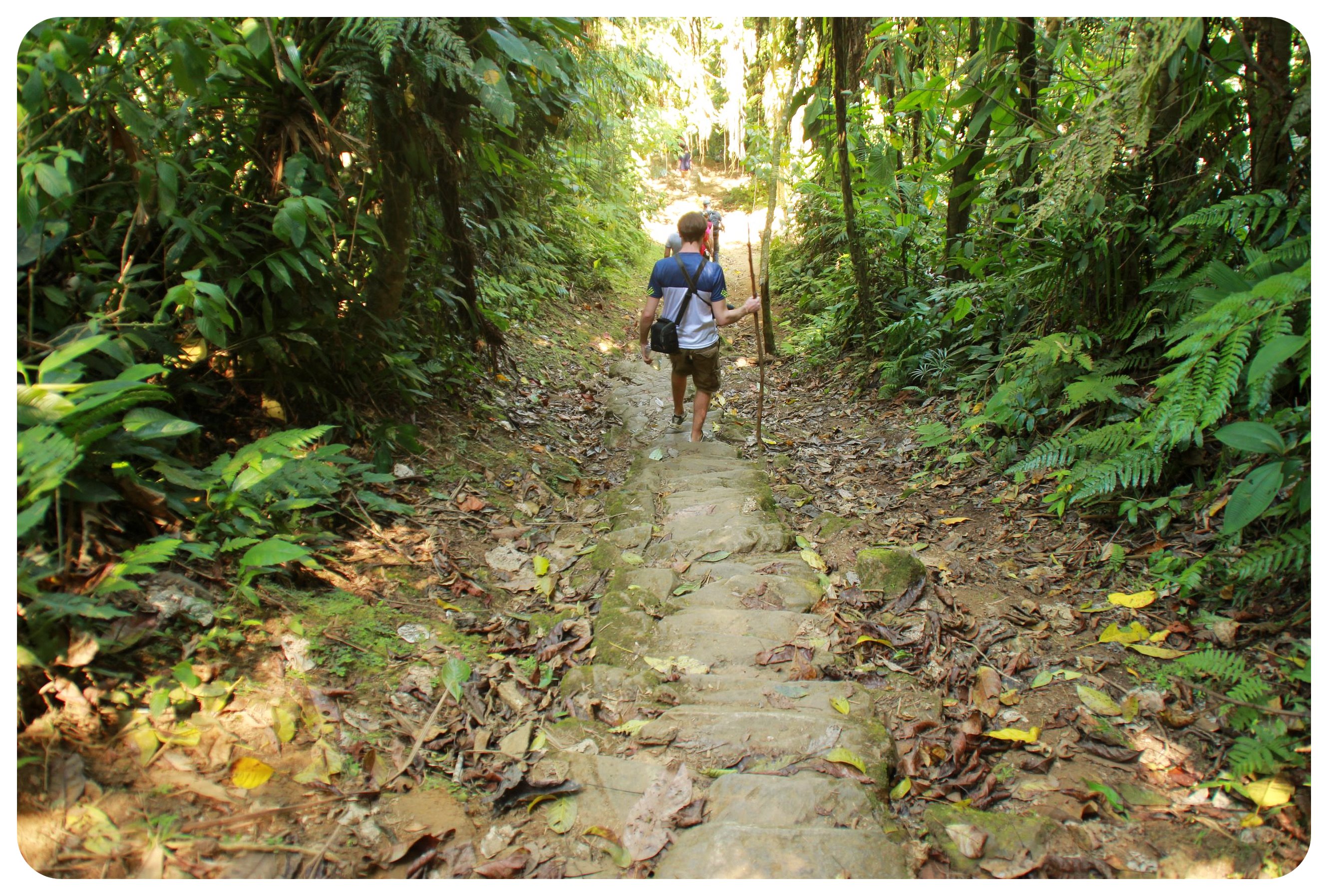 ciudad perdida colombia escaleras