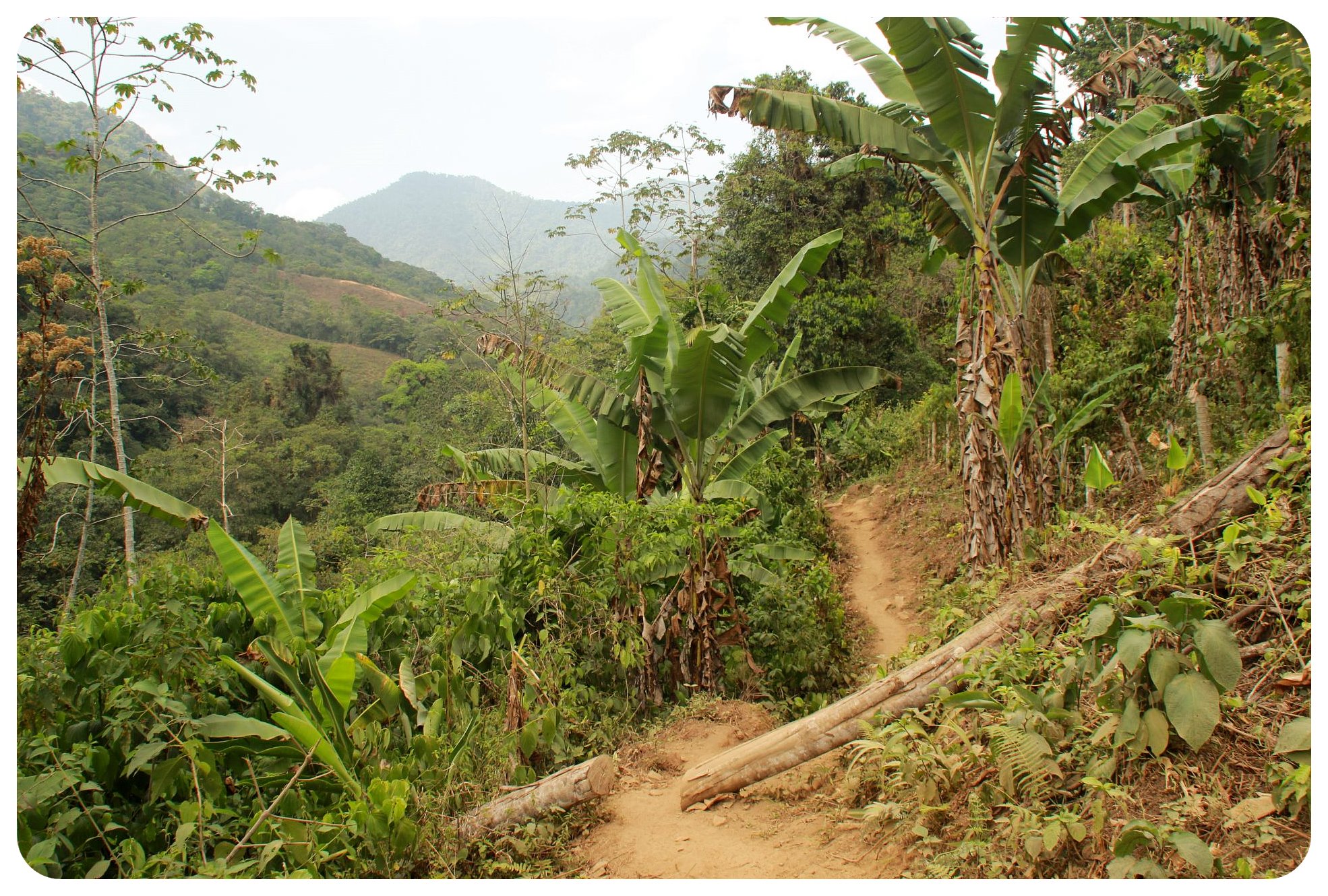 ciudad perdida hike2