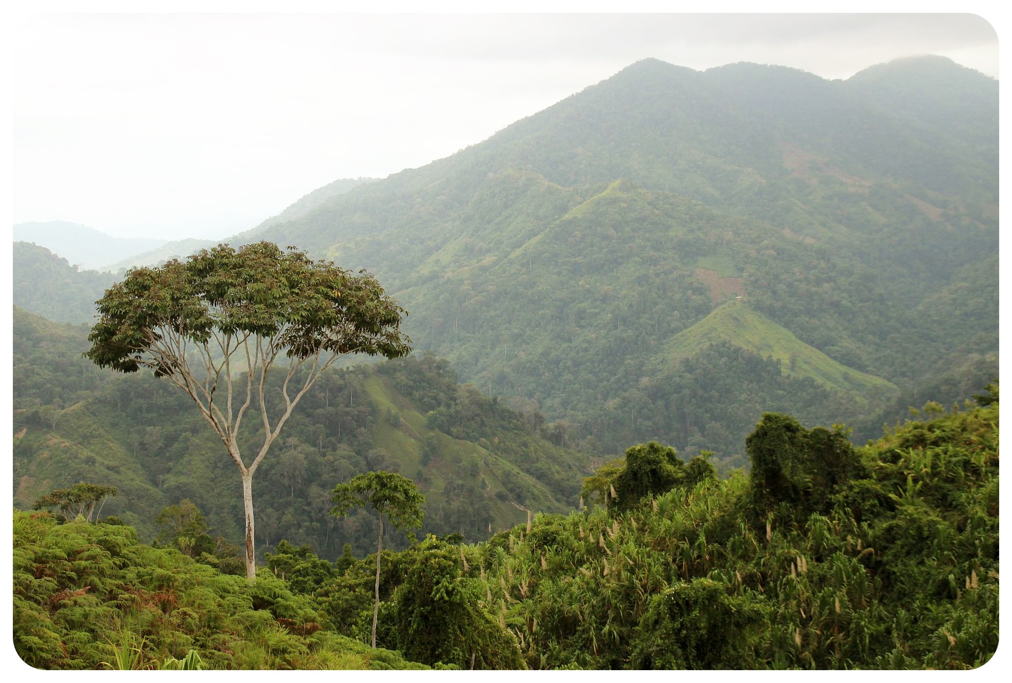 caminata por la ciudad perdida