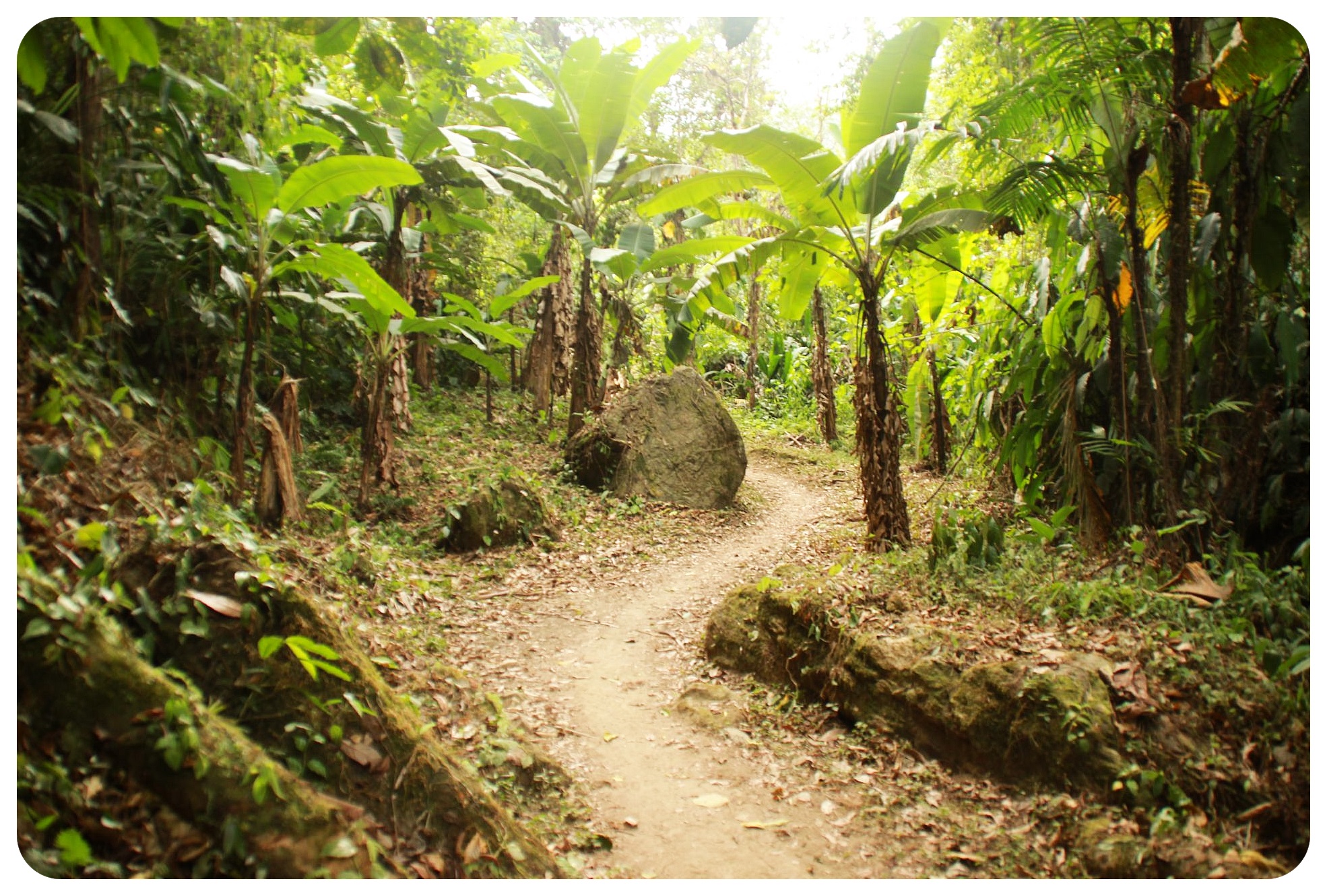 lost city trek plataneros