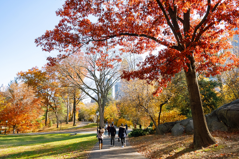 otoño de nueva york