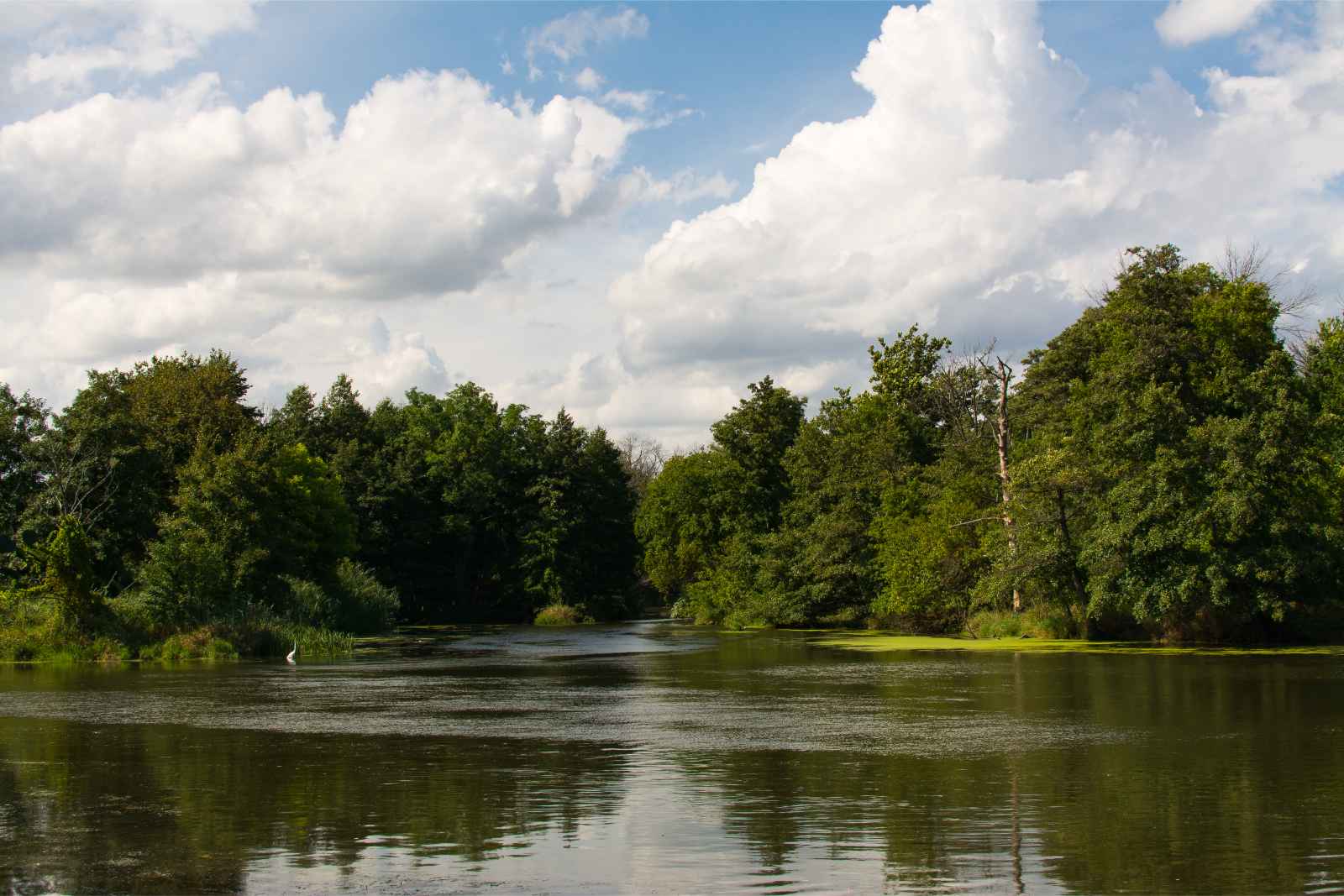 Excursiones de un día desde Channahon State Park IL