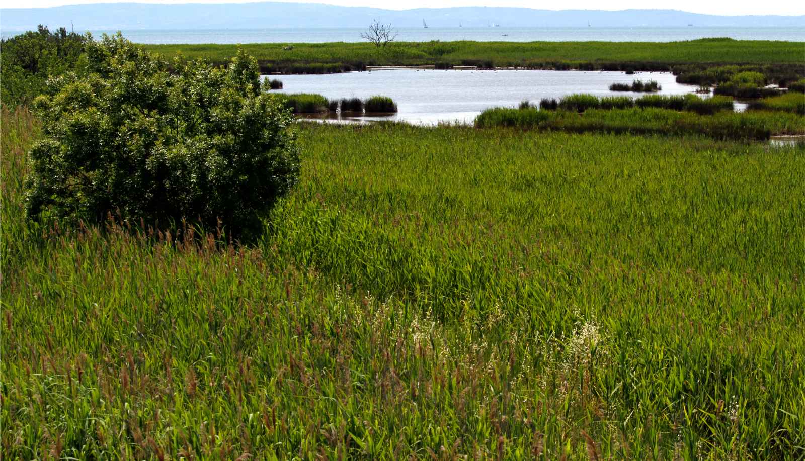 Excursiones de un día desde el área de conservación del parque glacial de Chicago