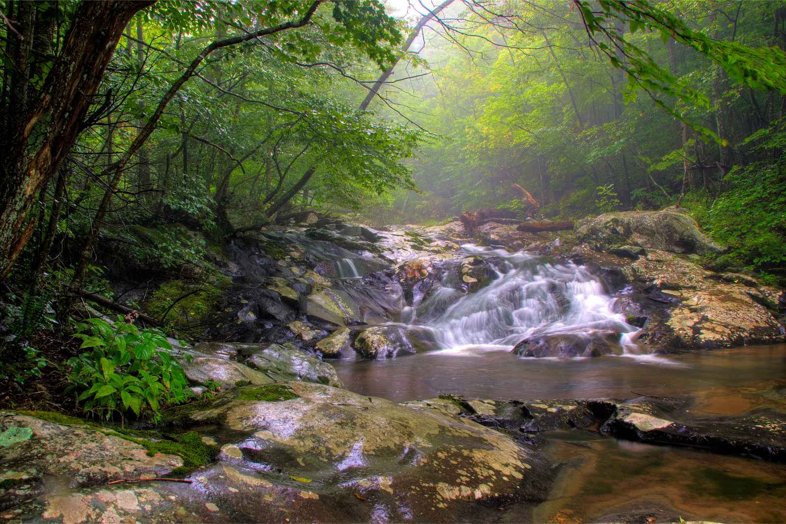 Escapadas románticas en el parque nacional de Shenandoah de Estados Unidos