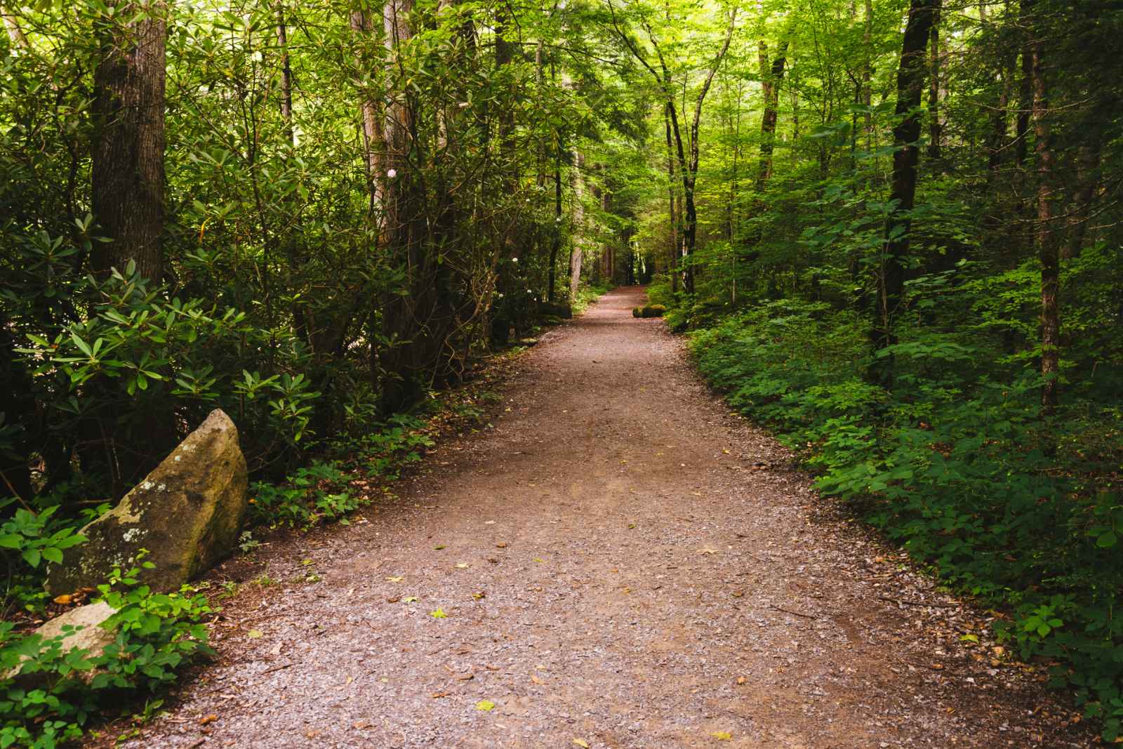 Escapadas románticas en el parque nacional de las Great Smoky Mountains de EE.UU.