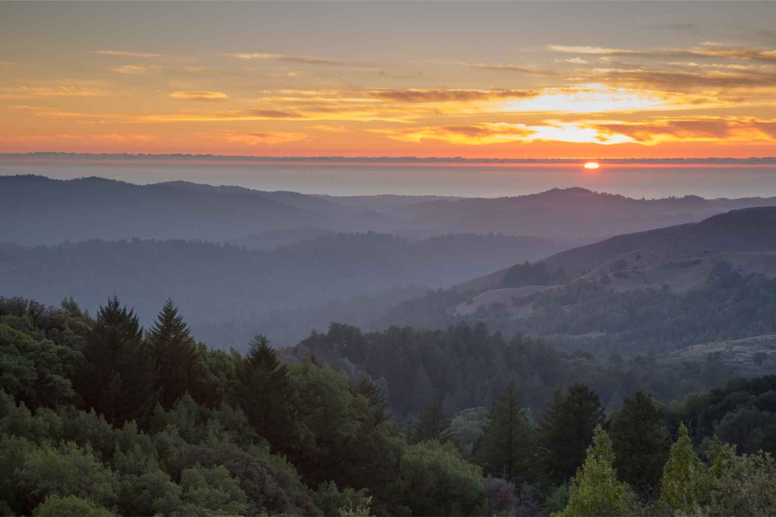 Escapadas románticas en las montañas de Santa Cruz de Estados Unidos