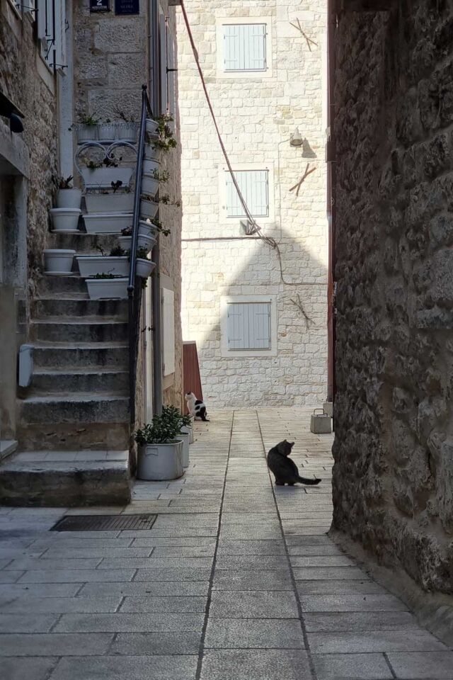 mejores cosas que hacer en el casco antiguo de Split