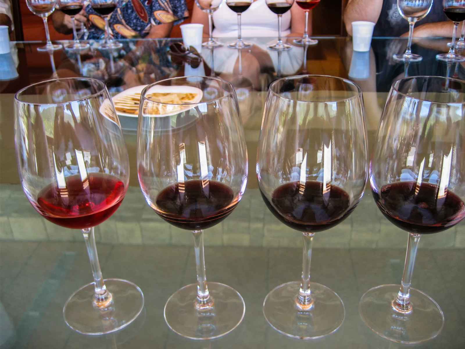 Las mejores cosas que hacer en Split Cata de vinos locales