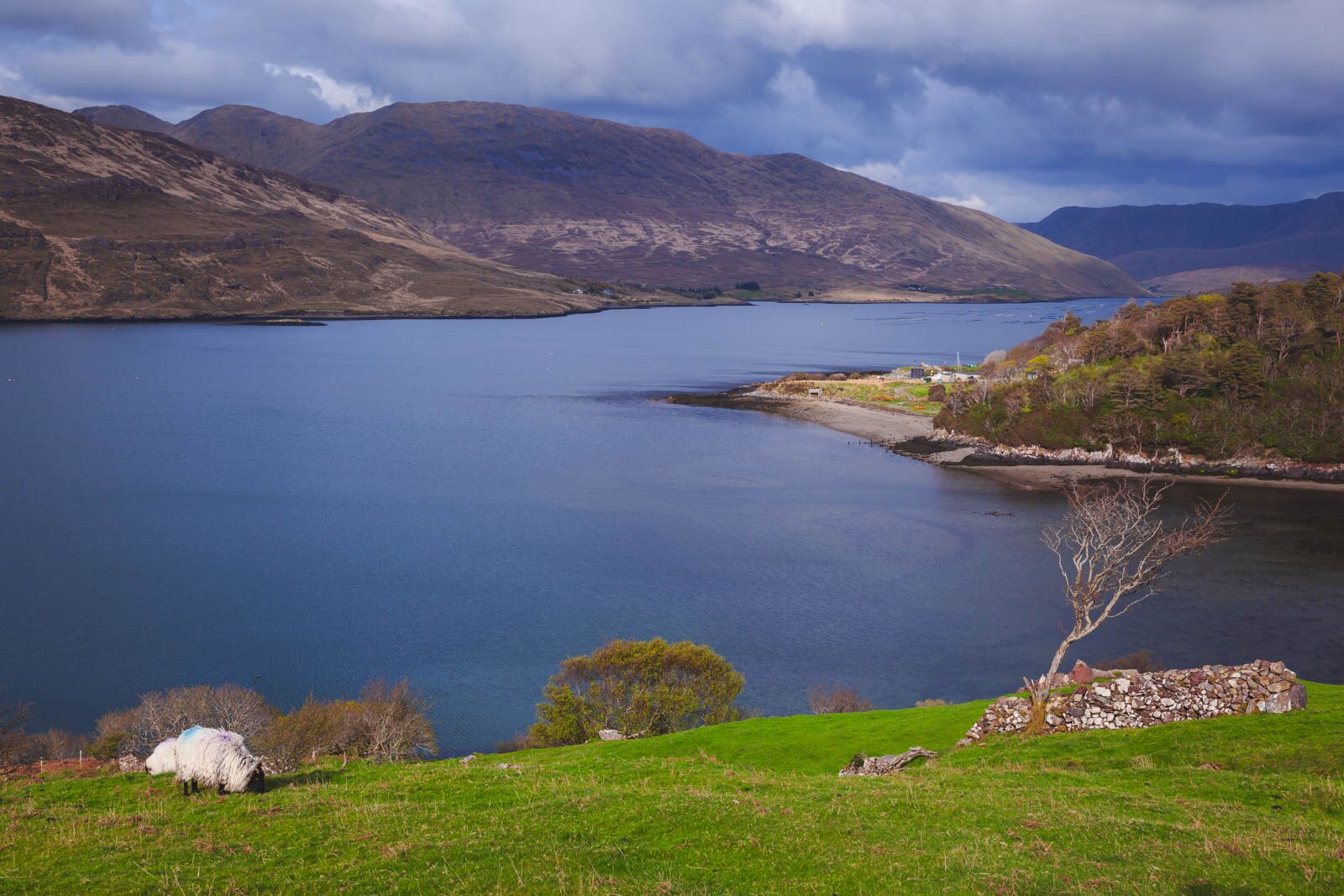 Cosas divertidas para realizar en el Parque Nacional de Galway Irlanda Connemara 