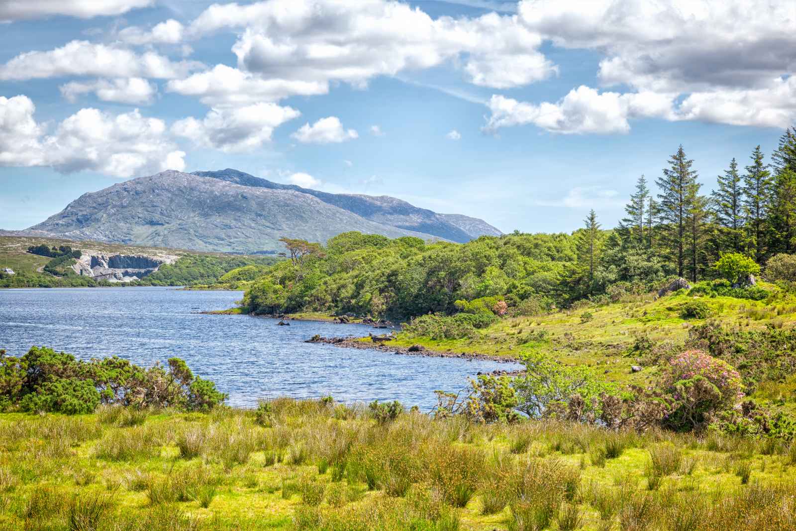 Qué hacer en Galway Lough Corrib