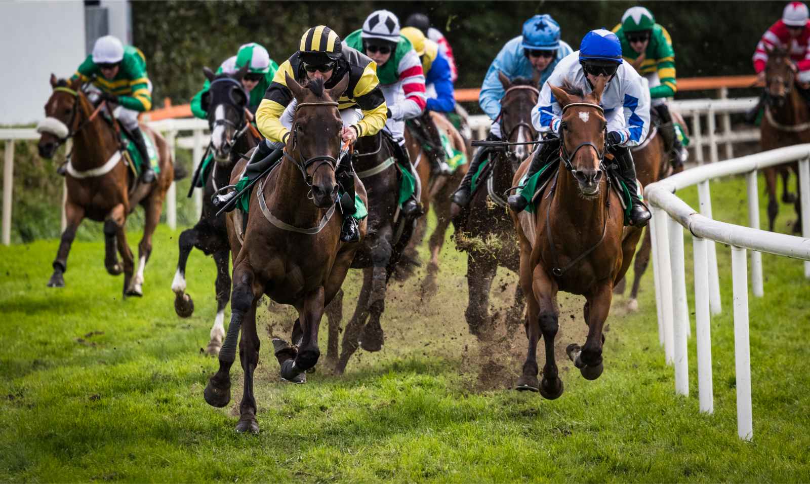 Qué hacer en Galway Races