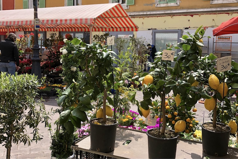 Mercado de las Flores del Cours Saleya