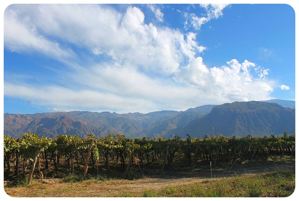 viña de cafayate