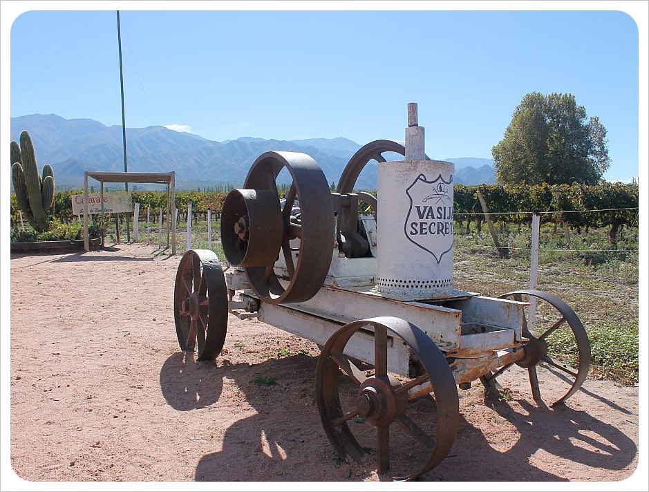 bodega la banda cafayate