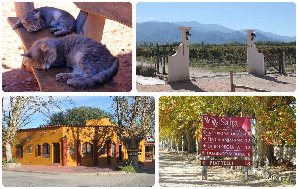 Argentina El Cafayate