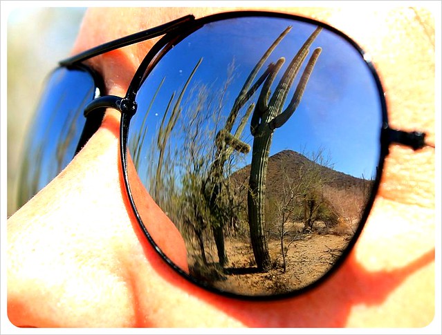 jess gafas de sol reflejo saguaros