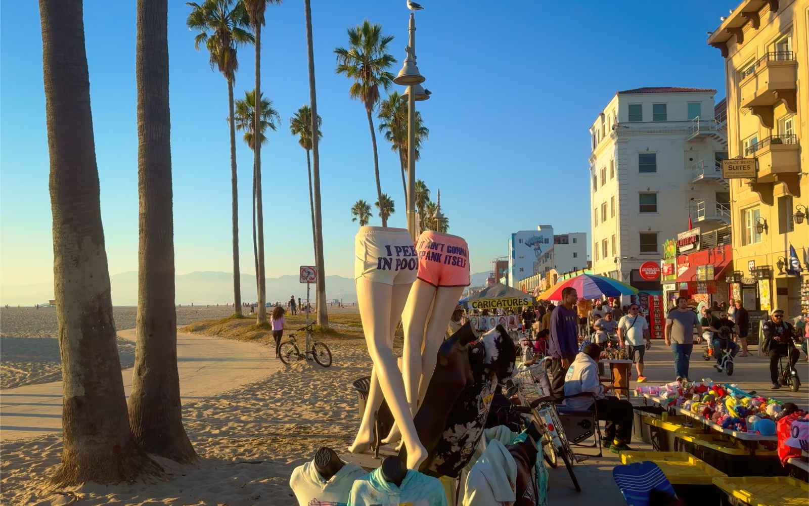 Qué hacer en Venice Beach California Consejos e información antes de visitar