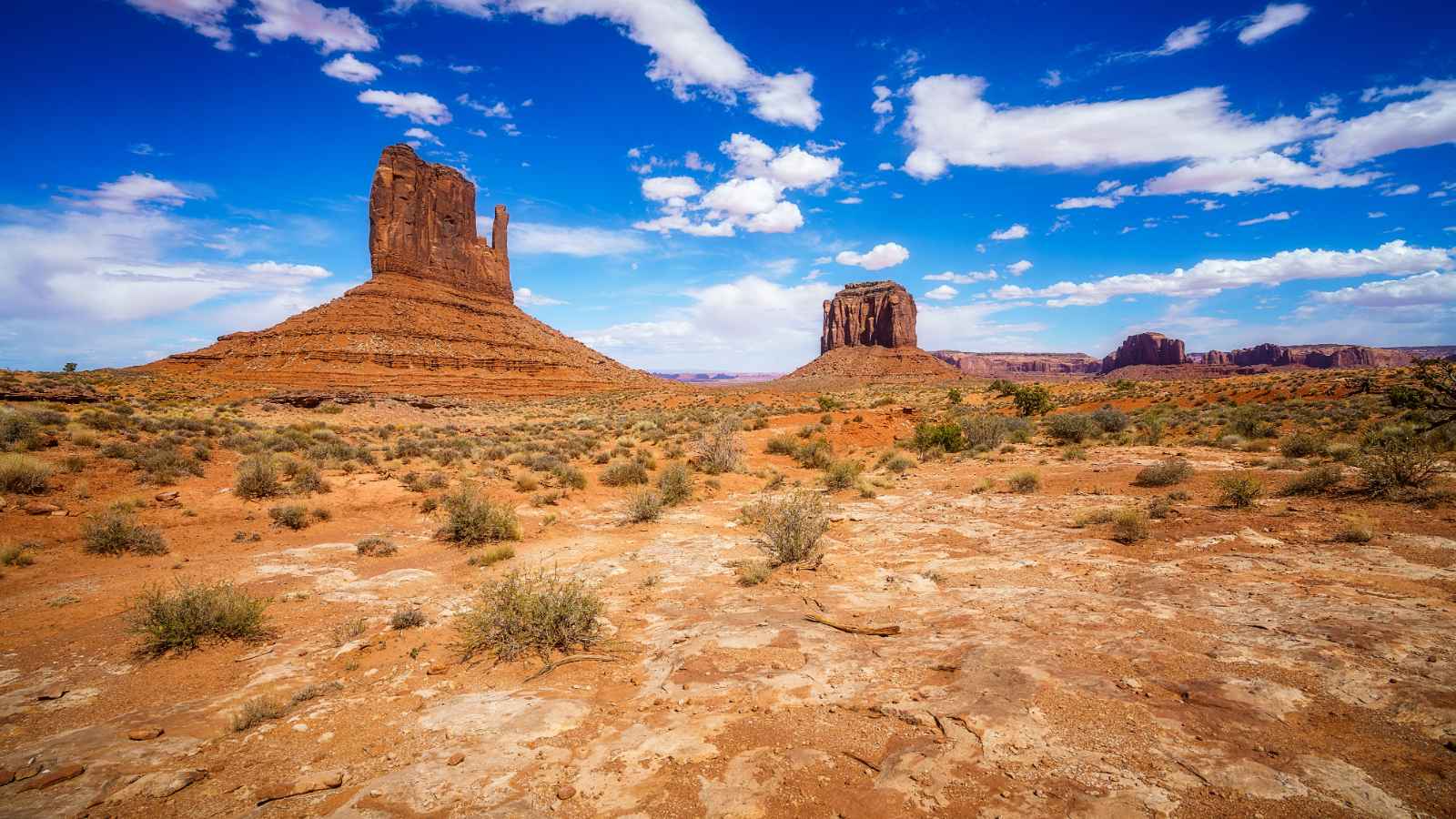 Ruta del gato salvaje de Monument Valley