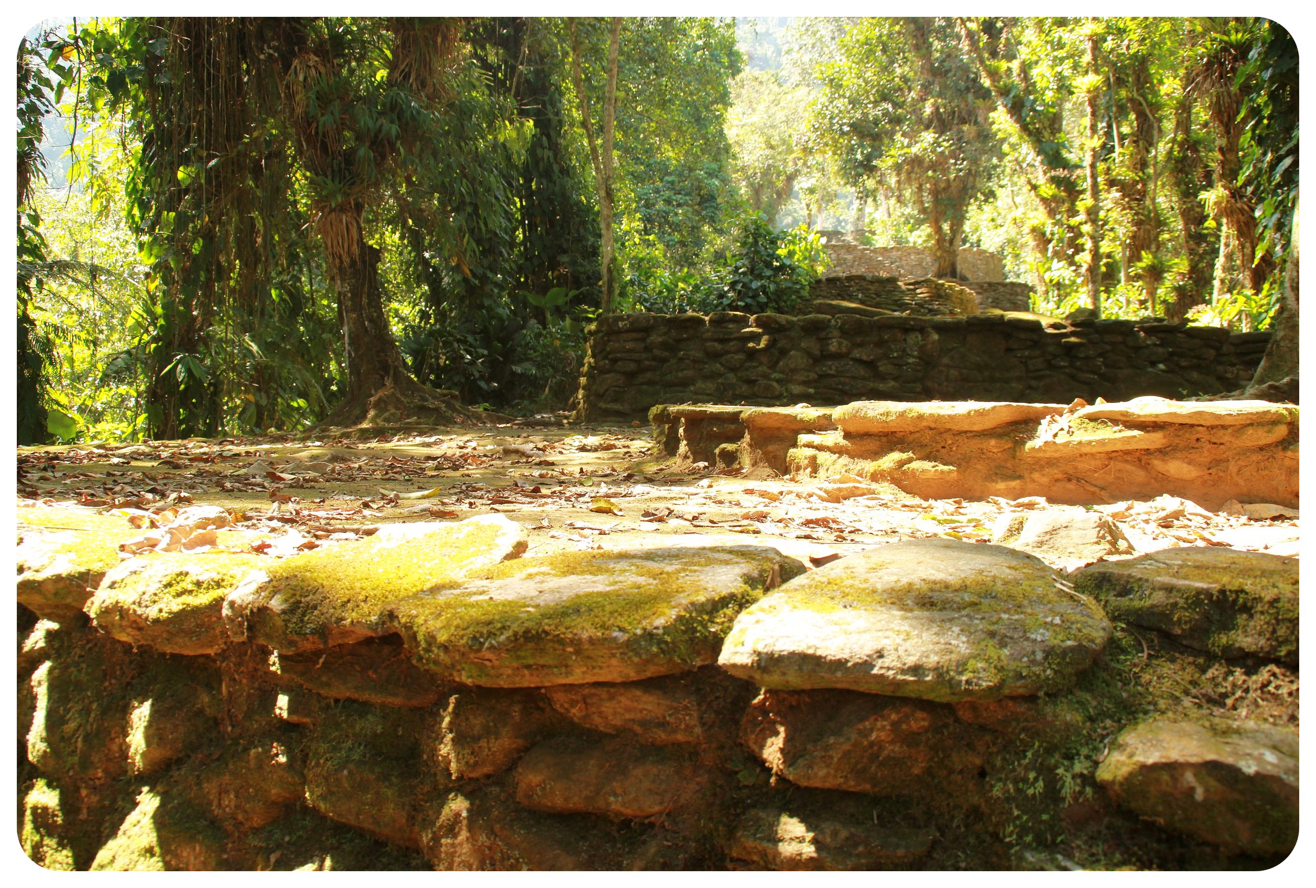 Ruinas de la ciudad perdida de Colombia