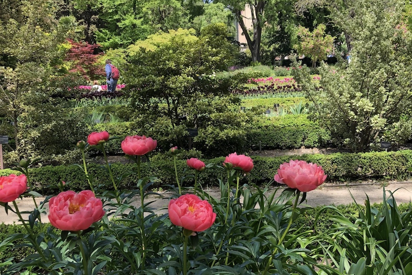 jardín Botánico