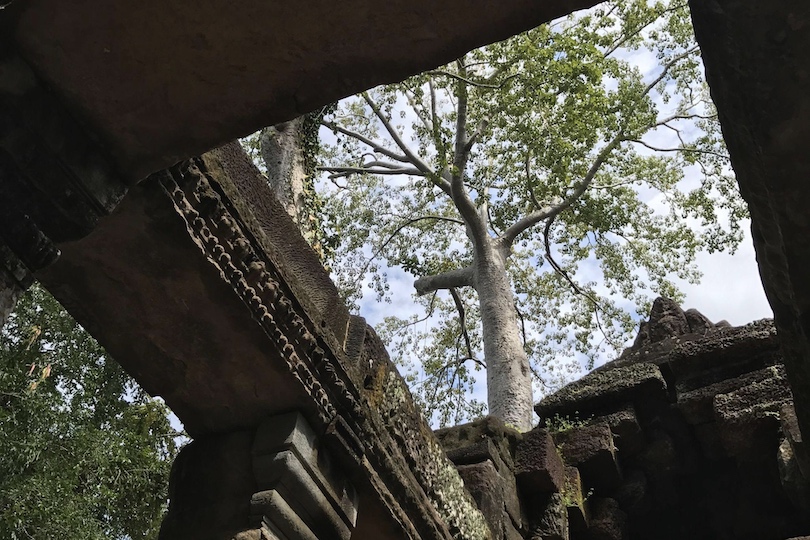 Ta Prohm