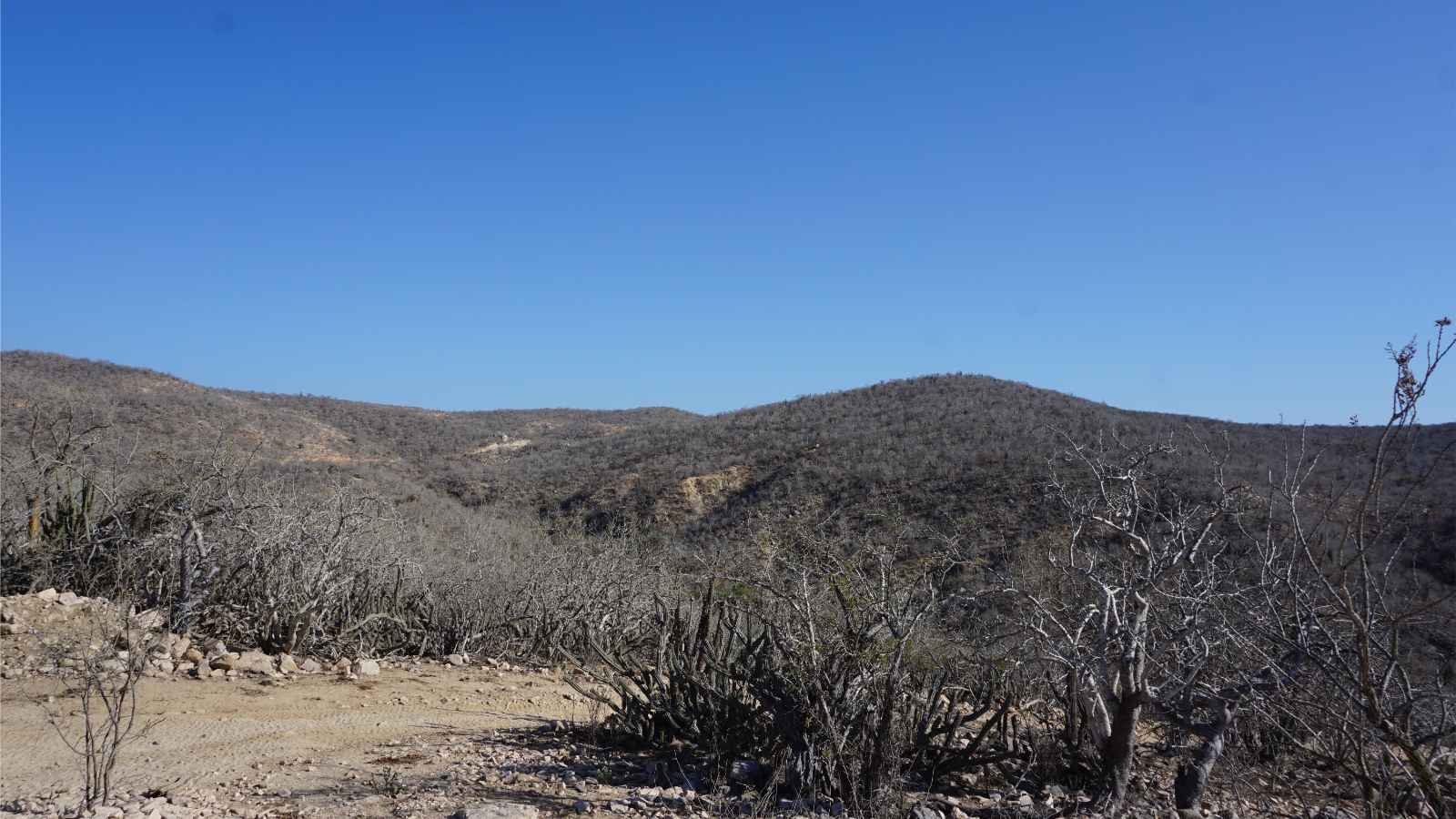 Qué hacer en San Jose Del Cabo Excursión al Cerro de Las Chivas