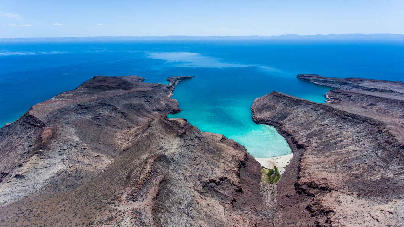 Qué hacer en San Jose Del Cabo Isla del Espiritu Santo