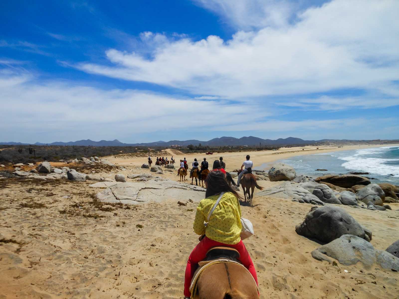 Qué hacer en San Jose Del Cabo Caballo en la playa